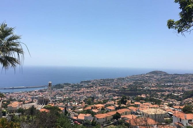 Funchal Private Transfers Service to Madeira Airport - Key points / Takeaways