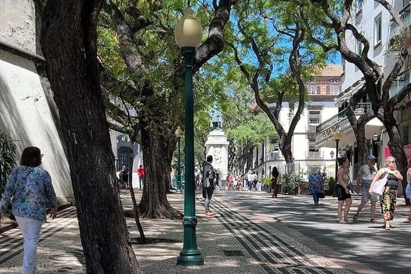 Funchal: Quick & Fun 30-Minute Tuk Tuk Tour with Local Guide - Key points / Takeaways