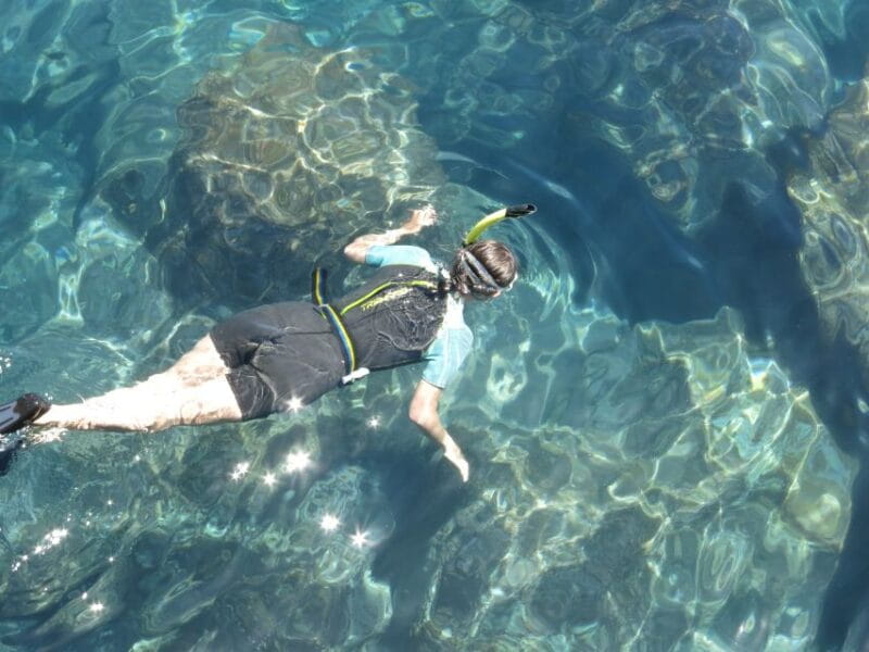 Funchal: Snorkeling Adventure in Eco-Park / Shore or by Boat - The Marine Eco-Park: Why It’s Special