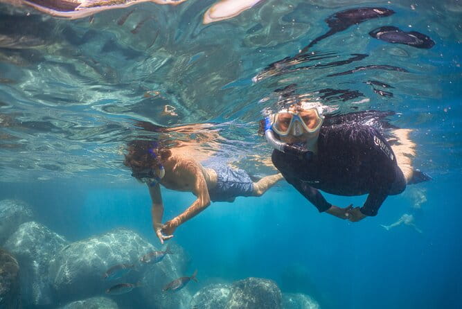 Funchal: Snorkeling Adventure in Eco-Park / Shore or by Boat - Exploring the Highlights of the Snorkeling Adventure