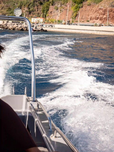 Funchal: Speedboat SEE THE ISLAND AND LIFE AT SEA - FAQs