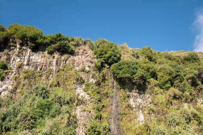 Funchal: Speedboat tour- SEE THE ISLAND AND LIFE AT SEA - FAQ