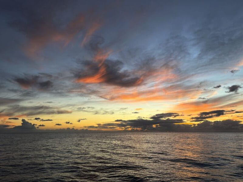 Funchal: Sunrise Private Sailing Trip with Breakfast - Who Will Love This Experience?