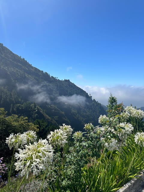 Funchal: Valley of the Nuns tour by tuk tuk - Discovering the Valley of the Nuns: A Journey from Funchal