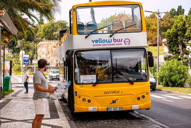 Funchal:Hop-on Hop-off Bus & Whale & Dolphin boat Excursion - Key Points / Takeaways