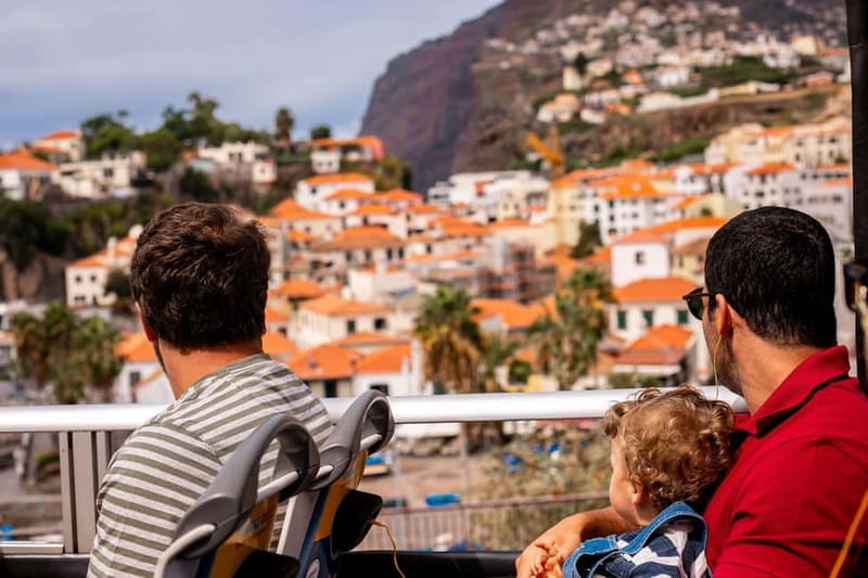 Funchal:Hop-on Hop-off Bus & Whale & Dolphin boat Excursion - Exploring Funchal by Land and Sea: A Practical Guide