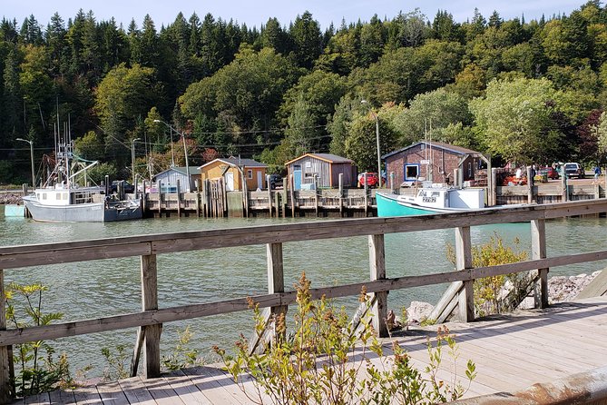 Fundy Coast to Fundy Shore Tour - In-Depth Commentary From the Guide