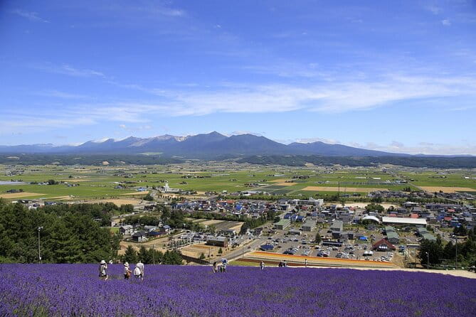 Furano, Biei & Blue Pond Full-Day Private Tour (Up to 21 Pax) - Pickup and Drop-off