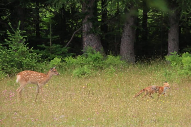 Furepe Waterfall Nature Walk - Pickup Locations and Meeting Details