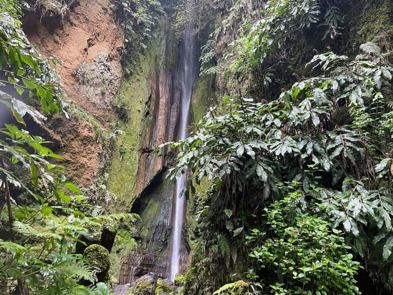 Furnas: Private Tour with Hike & Terra Nostra Hot Springs - Key points / Takeaways