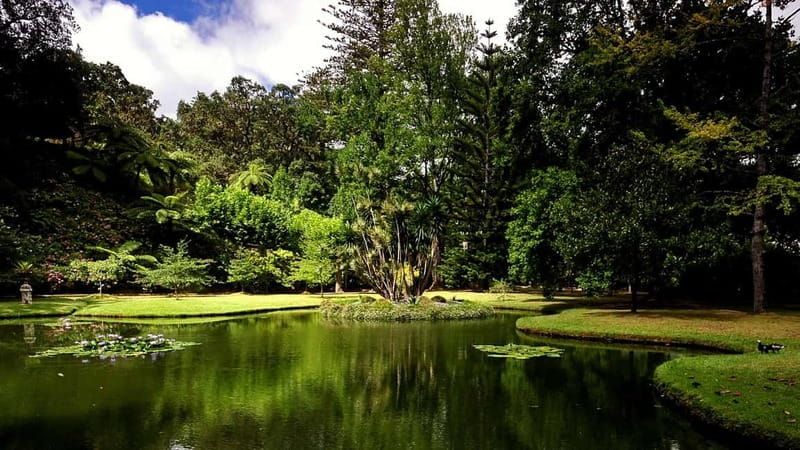 Furnas & Terra Nostra Botanic Park Tour w/Lunch + Hotsprings - Discovering Volcanic Activity and Mineral Fountains