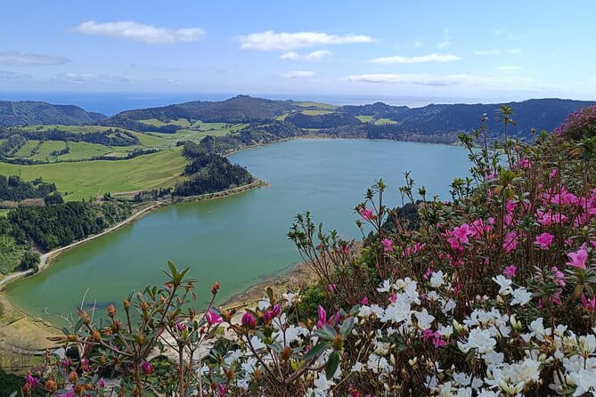 Furnas Vale, Gorreana Tea Factory Private Van Tour - Key Points