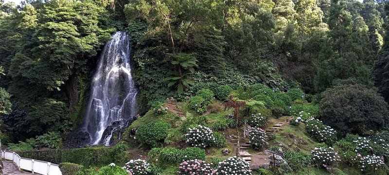 Furnas Volcano: Full Day Tour, Hot Springs & Waterfalls - Entering the Heart of São Miguel: What the Tour Includes