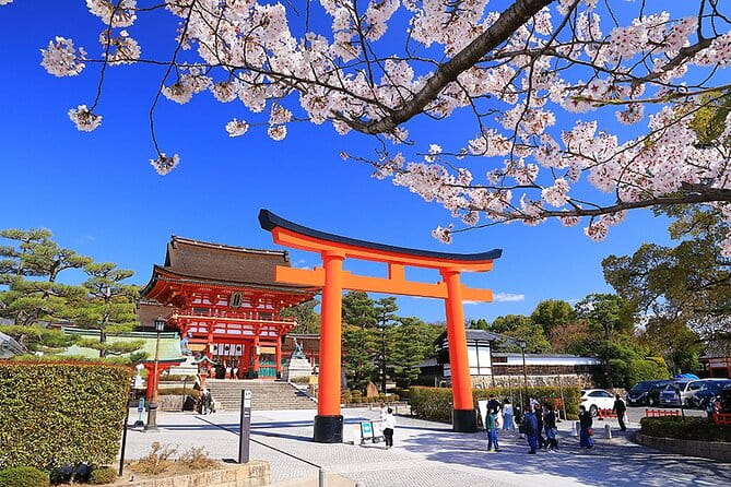 Fushimi Cherry Blossom and Sake Brewery Tour - Meeting and End Points
