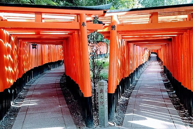 Fushimi Inari Deep Shinto Shrine Tour While Hiking With Expert - Encountering Wildlife and Natural Landscapes