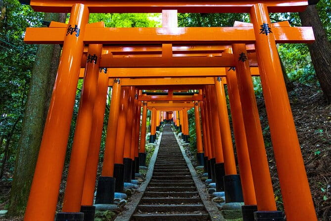 Fushimi Inari Mountain Hiking Tour With a Local Guide - Why Choose a Local Guide for Your Hike