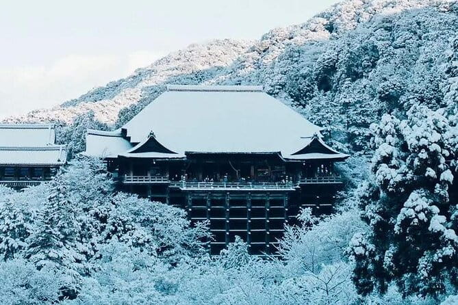 Fushimi Inari Shrine and Nara Park Day Tour From Osaka and Kyoto - Important Information
