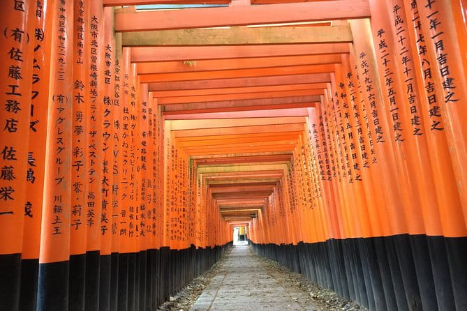 Fushimi Inari Shrine: Explore the 1,000 Torii Gates on an Audio Walking Tour - Reviews and Feedback