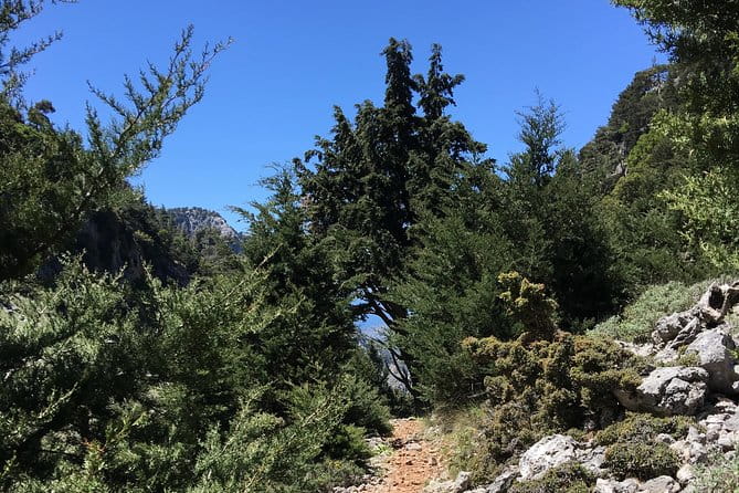 Fygou and Agia Irini Gorge Loop Half Day Hiking Tour - Who This Tour Is Best For