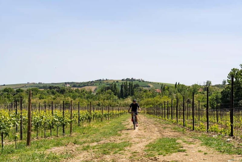 Gabicce Monte Bike Rental (E-MBT, MBT, Road & Gravel, E-Gravel) - FAQ