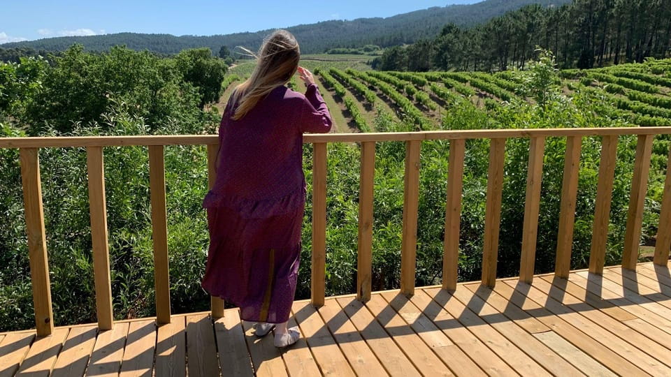 Galicia: Group Winery Tour and Tasting - Tour Overview