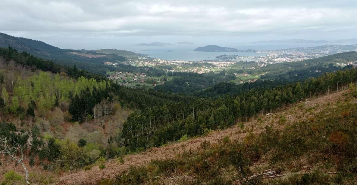 Gallaecian-Roman Gold Mining in Serra Da Groba Tour - Key Points