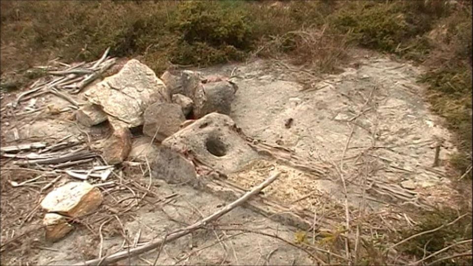 Gallaecian-Roman Gold Mining in Serra Da Groba Tour - Guided Tour Features