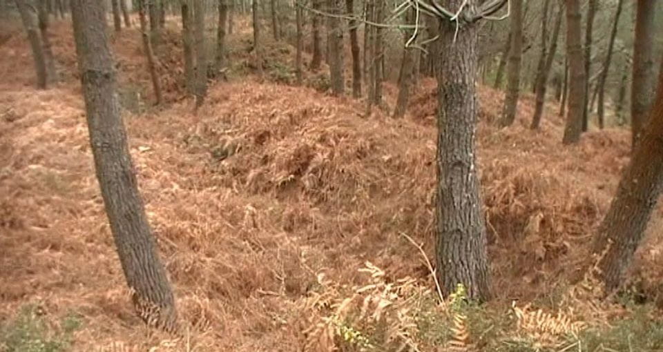 Gallaecian-Roman Gold Mining in Serra Da Groba Tour - Historical Significance