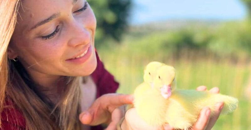 Gallura: Picnic on a Farm with Animals - Timing, Accessibility, and Practicalities