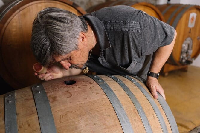 Gallura Winery with Wine Tasting in Olbia - From Olbia to a Hidden Vineyard: The Journey Begins