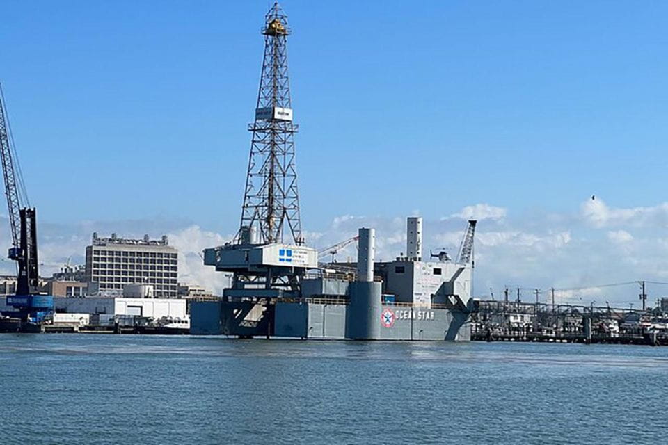 Galveston: Dolphin-Watching Cruise - Customer Feedback