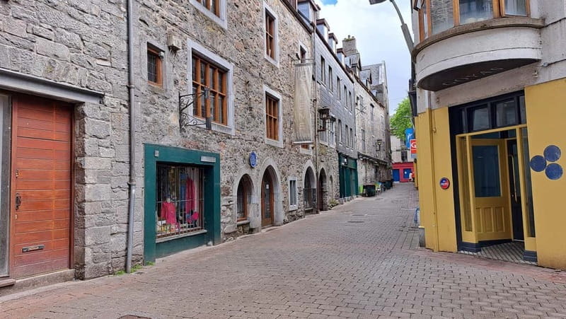 Galway: City of the Tribes Guided Walking Tour - Key points / Takeaways