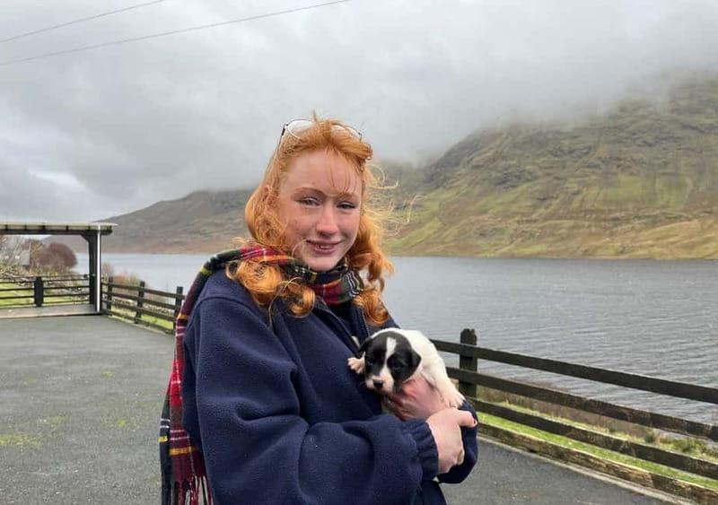 Galway: Connemara, Sheepdog Show and Medieval Castle Tour - Key Points / Takeaways