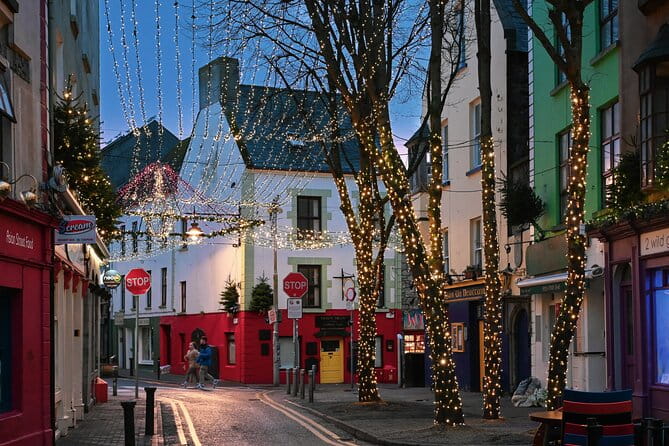 Galway Historic city Tour - 2.5hr Family & Friends Private groups - Who This Tour Is Perfect For