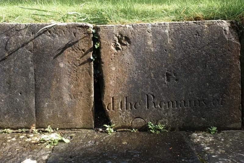 Galway: St. Nicholas' Medieval Unlocked Tour - Price, Logistics, and Overall Value