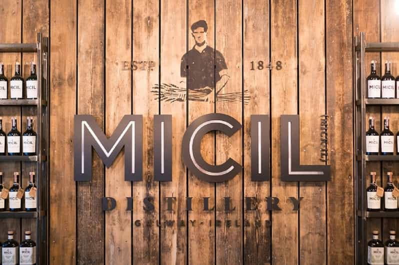 Galway: Traditional Irish Poitin & Gin Distillery Tour - Key Points / Takeaways