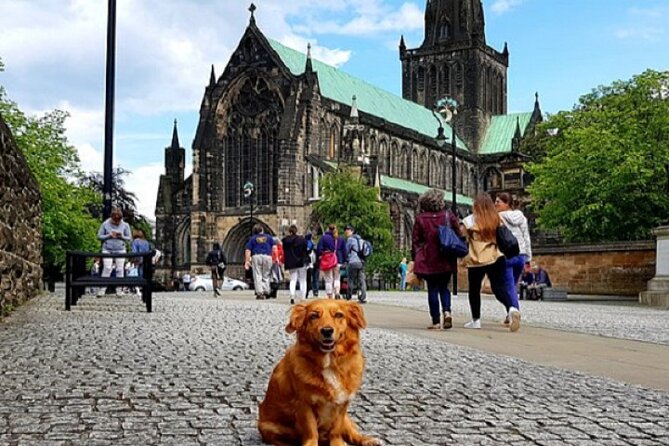 Gander Walking Tours in Glasgow - Overview of Gander Walking Tours