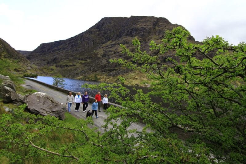 Gap of Dunloe & Lakes of Killlarney Boat Tour - The Sum Up