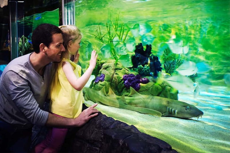 Gardaland SEA LIFE Aquarium: Open Date Entry Ticket - Who Will Love This Experience?