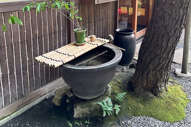 Garden Stroll and Matcha Break in Nagoya - Itinerary Overview: What to Expect