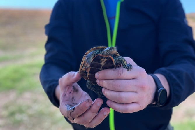 Gareja Sunrise Hike Tour from Tbilisi and Rainbow Hills Trail - Price and Value Analysis