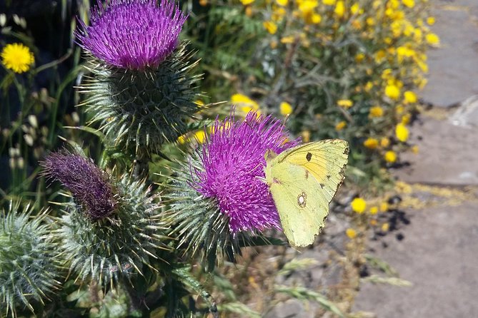 Gastro Hike (Private) - Pricing