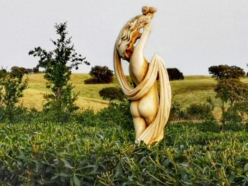 Gastronomic Wine tasting Experiences in Mértola, Alentejo - Practical Tips for Booking & Enjoying