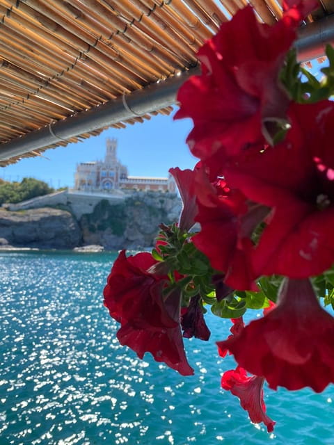 Gastronomy boat excursion - Price and Logistics: Is it Worth It?