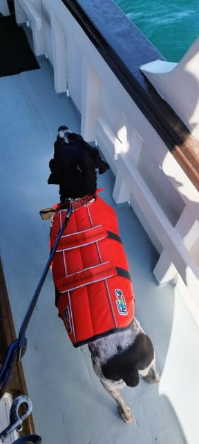 Gastronomy boat excursion - Final Thoughts