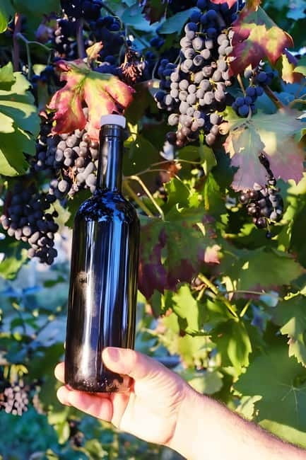 Gatronomical Amalfi coast hike - Final Thoughts