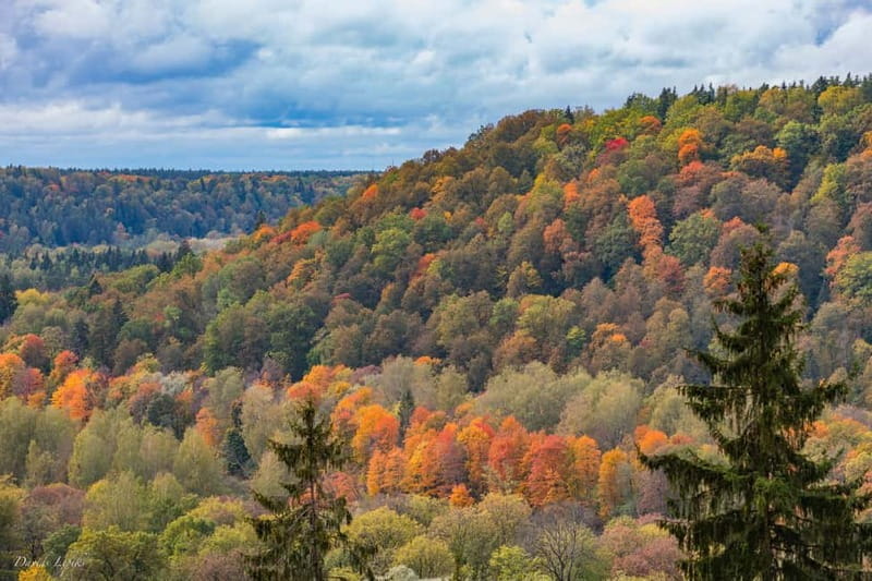 Gauja National Park Guided Hiking Tour - Price and Value: A Worthwhile Investment