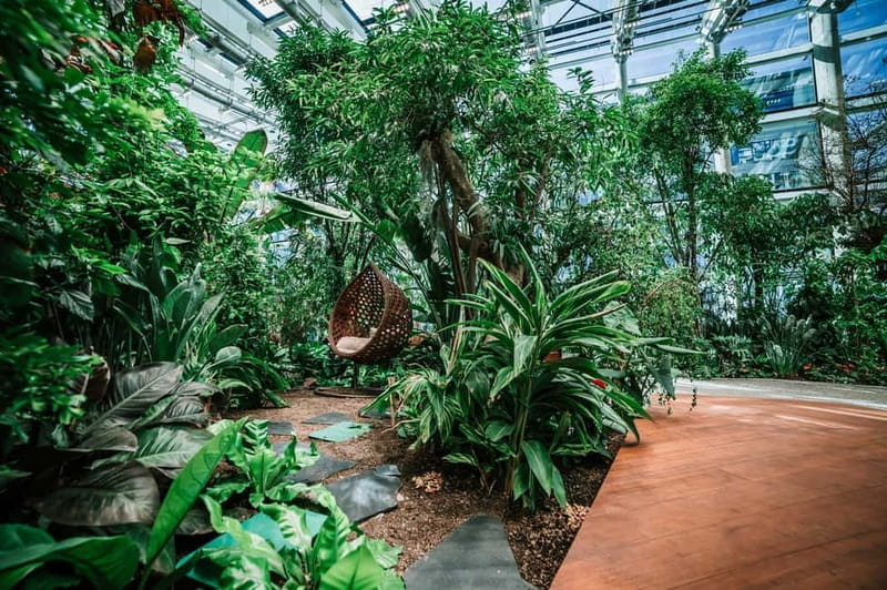 Gdask: Olivia Star Sky-High Views, Dinner, and Cocktails - Who Will Love This Experience?