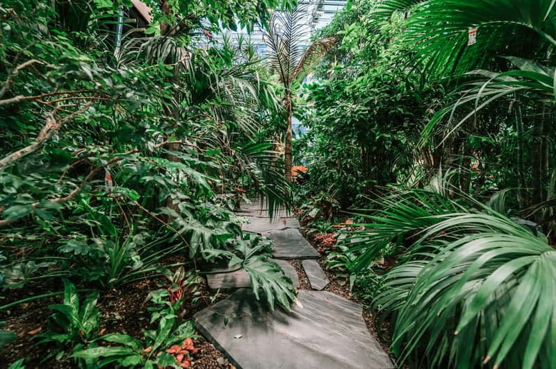 Gdask: Olivia Star Sky-High Views, Dinner, and Cocktails - Practical Tips and Recommendations