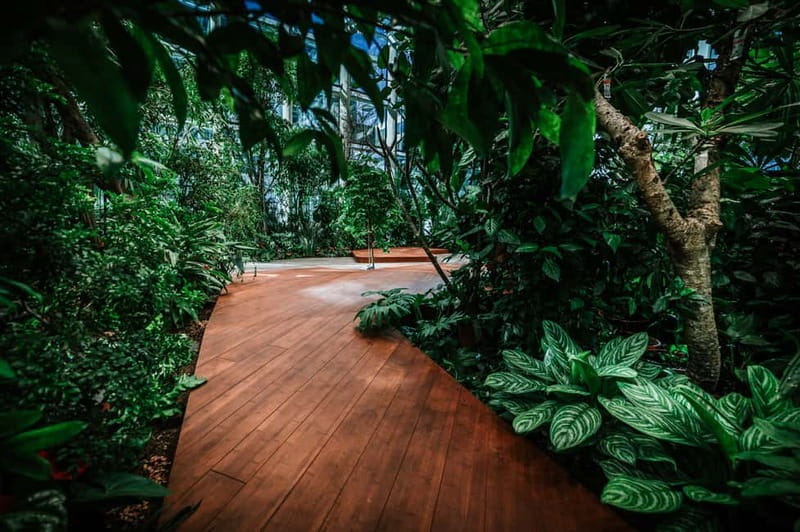 Gdask: Olivia Star Sky-High Views, Dinner, and Cocktails - FAQs